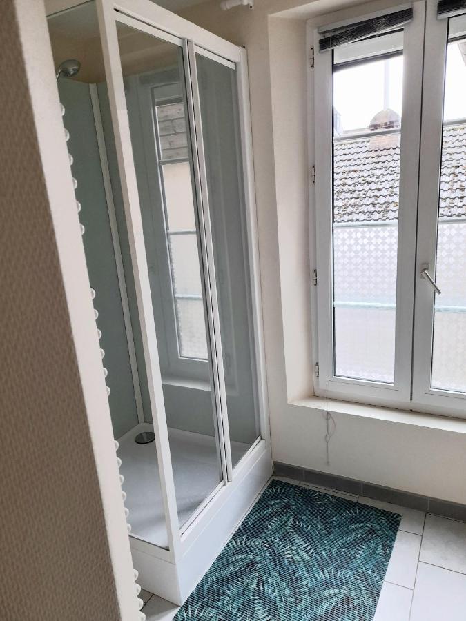 Animalier Apartment Joigny Luaran gambar